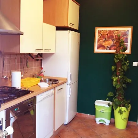 Apartment Domus Florum Zagreb