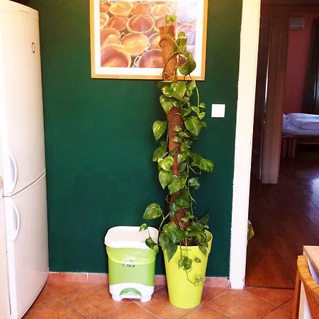 Domus Florum Apartment Zagreb